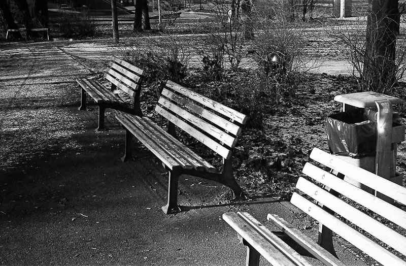 CXD_NEO1600_RD50_FX7_0010