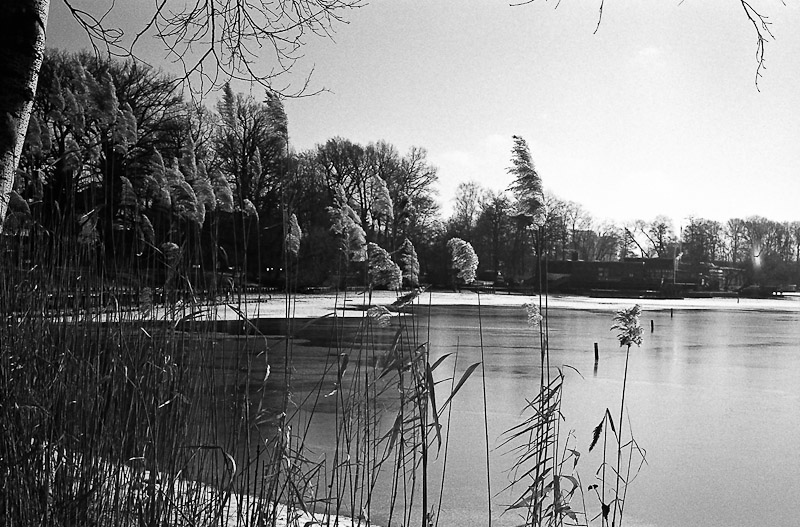 CXD_NEO1600_RD50_FX7_0013