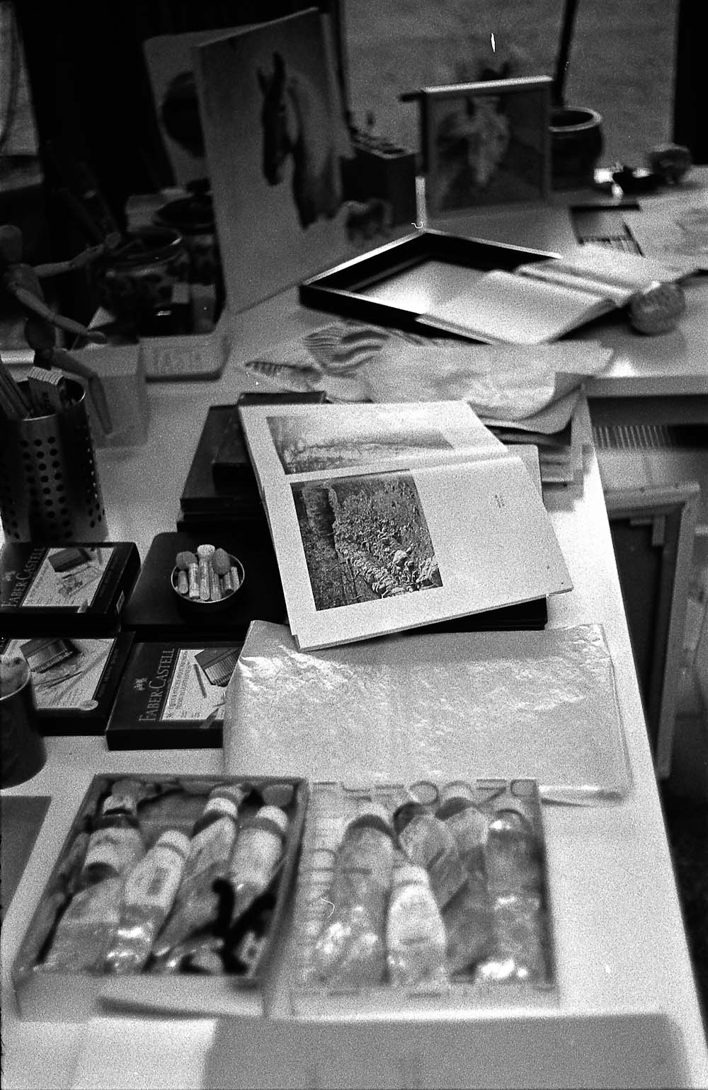 LEICAIIIC_HP5_ROD50_FX10-2
