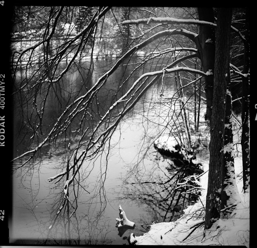 K88_V3_TMAX400_XTOL11_10-3