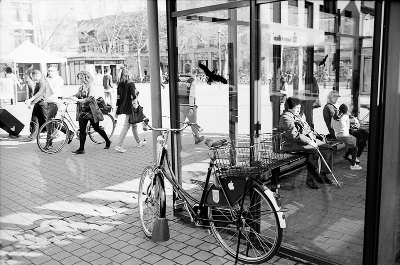 M6_LUX35_PX_XTOL11_FRUE-21