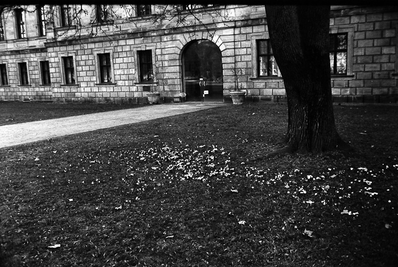 M6_LUX35_PX_XTOL11_FRUE-30