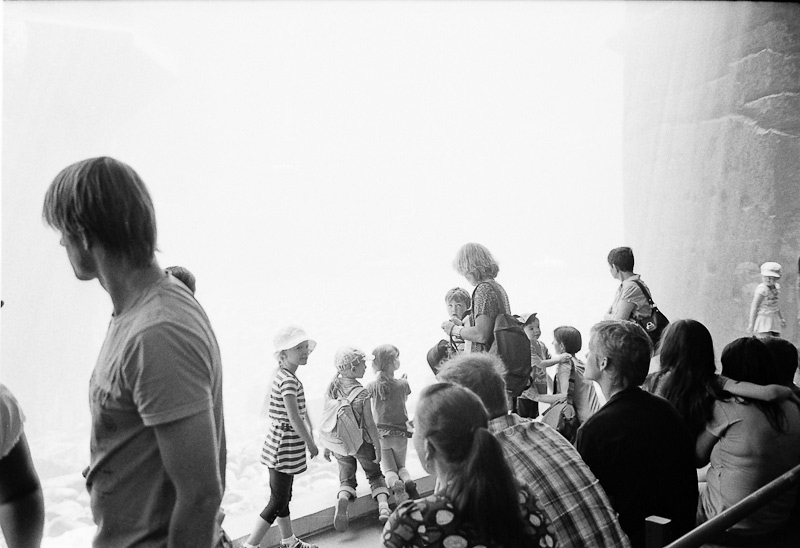 M6_LUX35_TRIX_ROD25_UTB-21